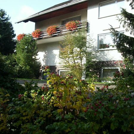 Pension Rosenschlößchen Willingen  Exterior foto