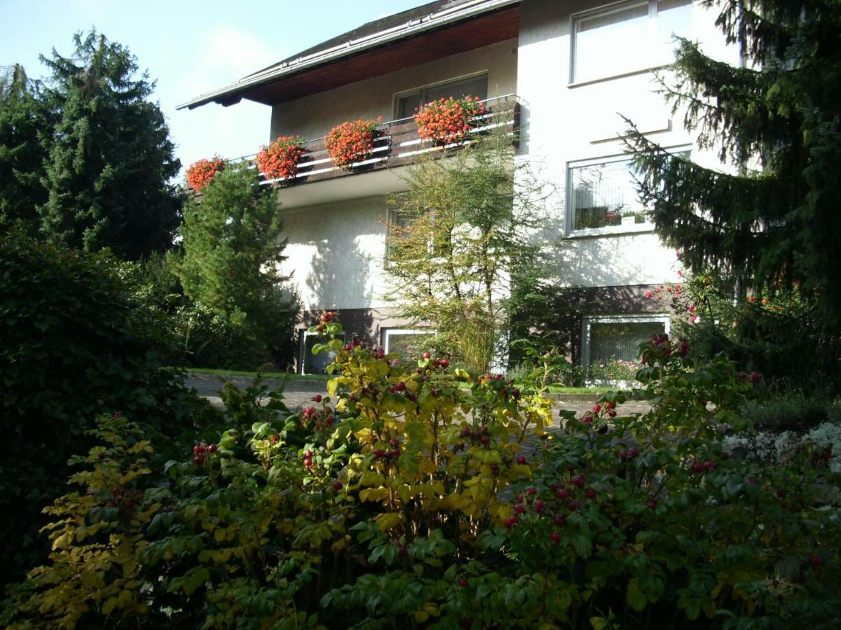 Pension Rosenschlößchen Willingen  Exterior foto